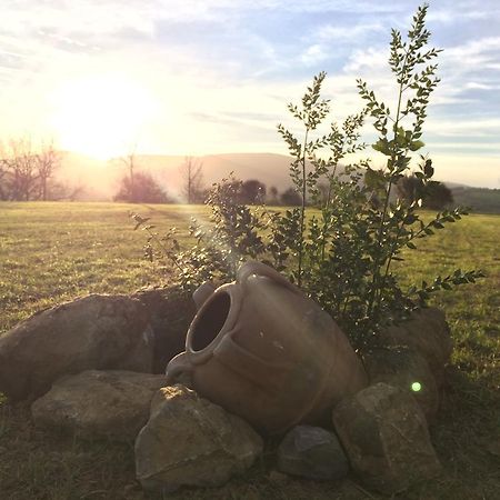Agriturismo Fonte Di Braca Villa Campagnatico Екстериор снимка